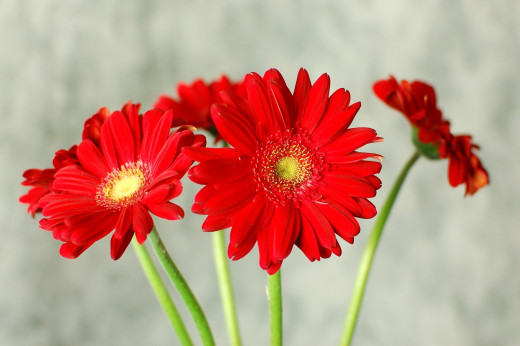 598236 (a): :2500x1660